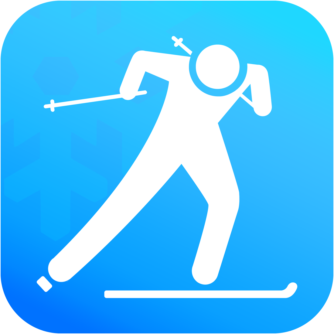 skiwise logo